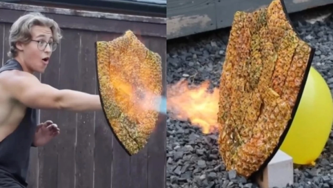 Τύπος κατασκεύασε ασπίδα από φλούδα ανανά