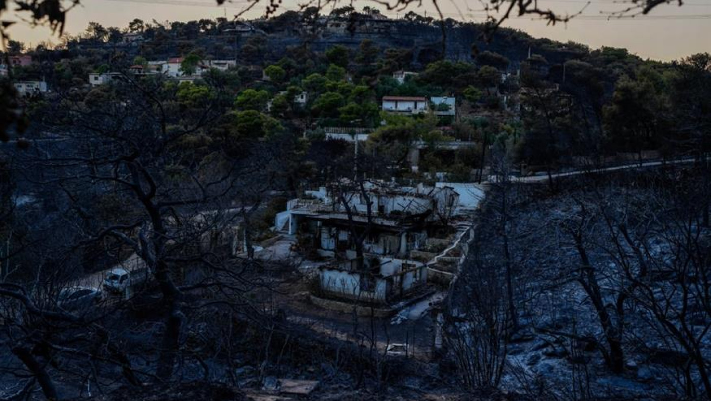Φωτιά στην Αττική: Τεράστια η οικολογική καταστροφή - Θα αναγεννηθεί η φύση;
