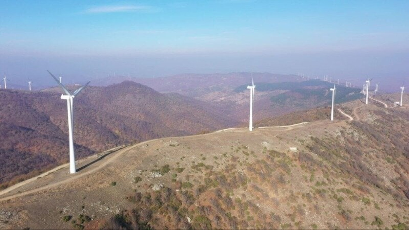 «ΌΧΙ ΑΠΕ σε Δάση και Περιοχές Natura»: Πρωτοβουλία Ρόκου για συλλογή υπογραφών