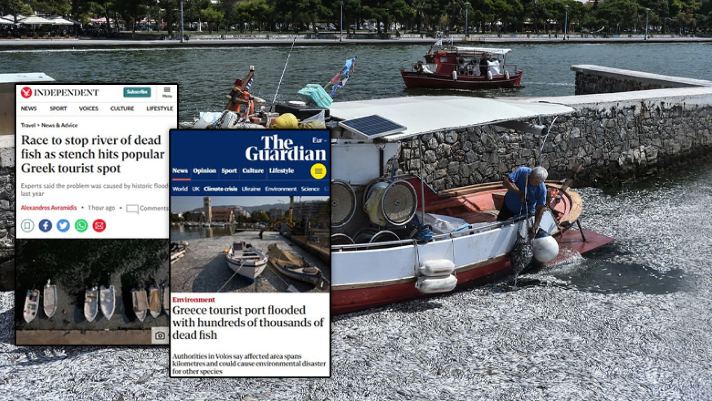 Βόλος: Διεθνής κατακραυγή για την περιβαλλοντική καταστροφή στον Παγασητικό