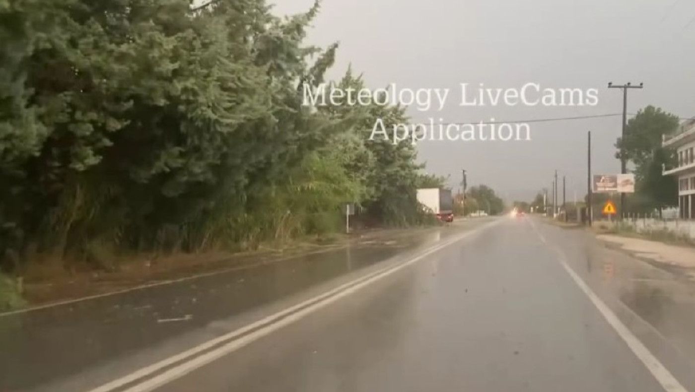 Θεσσαλονίκη: Πτώσεις δέντρων λόγω της κακοκαιρίας (vid)