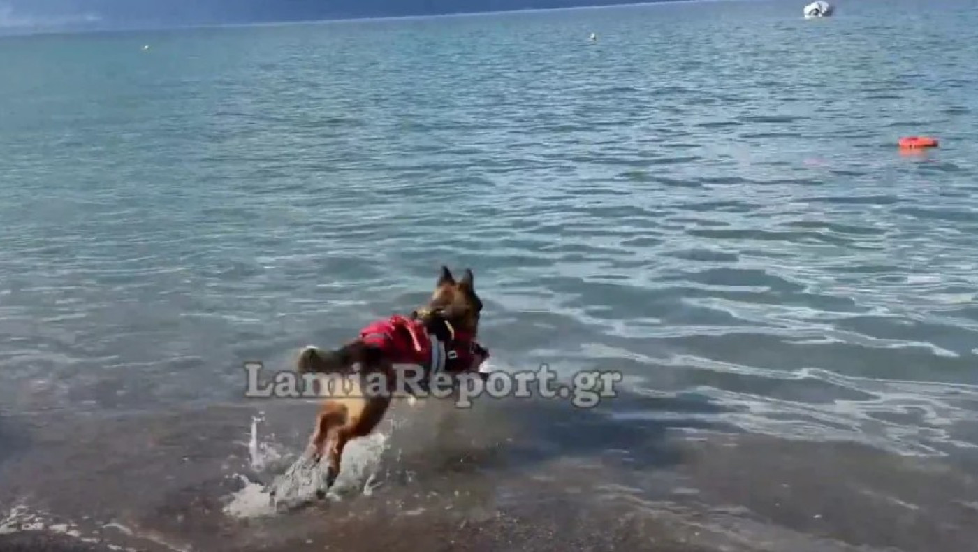 Καμένα Βούρλα: Σκύλος ναυαγοσώστης έσωσε λουόμενο από πνιγμό