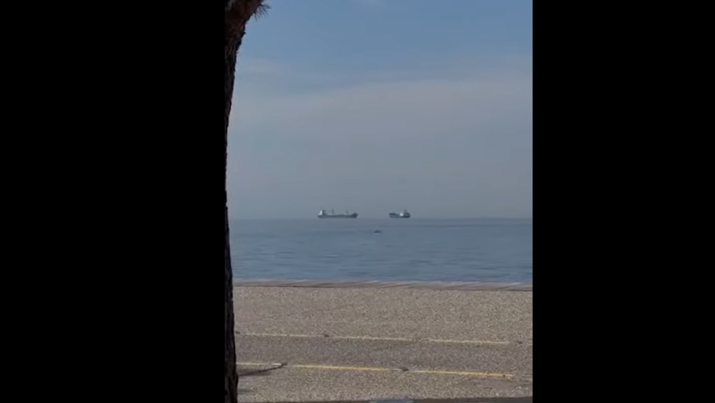 VIDEO από τη Θεσσαλονίκη: Δελφίνια ξανά στον Θερμαϊκό