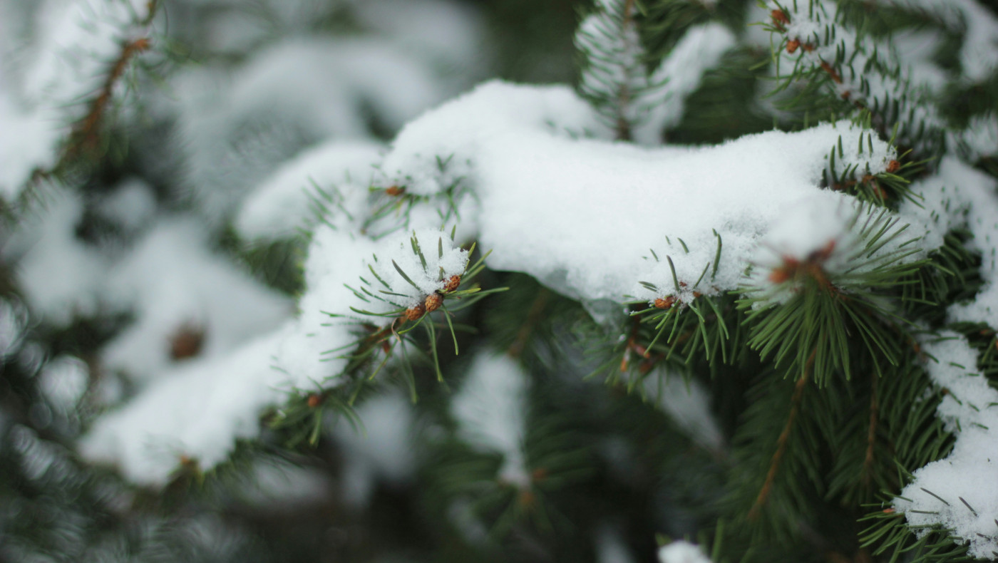 Μαρουσάκης: Θα κάνουμε φέτος... Πασχούγεννα;