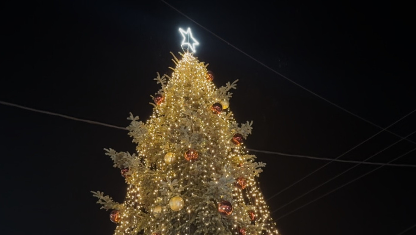 Άναψε το πρώτο χριστουγεννιάτικο δέντρο-Σε ποια περιοχή της Ελλάδας «μύρισε» γιορτές (vid)