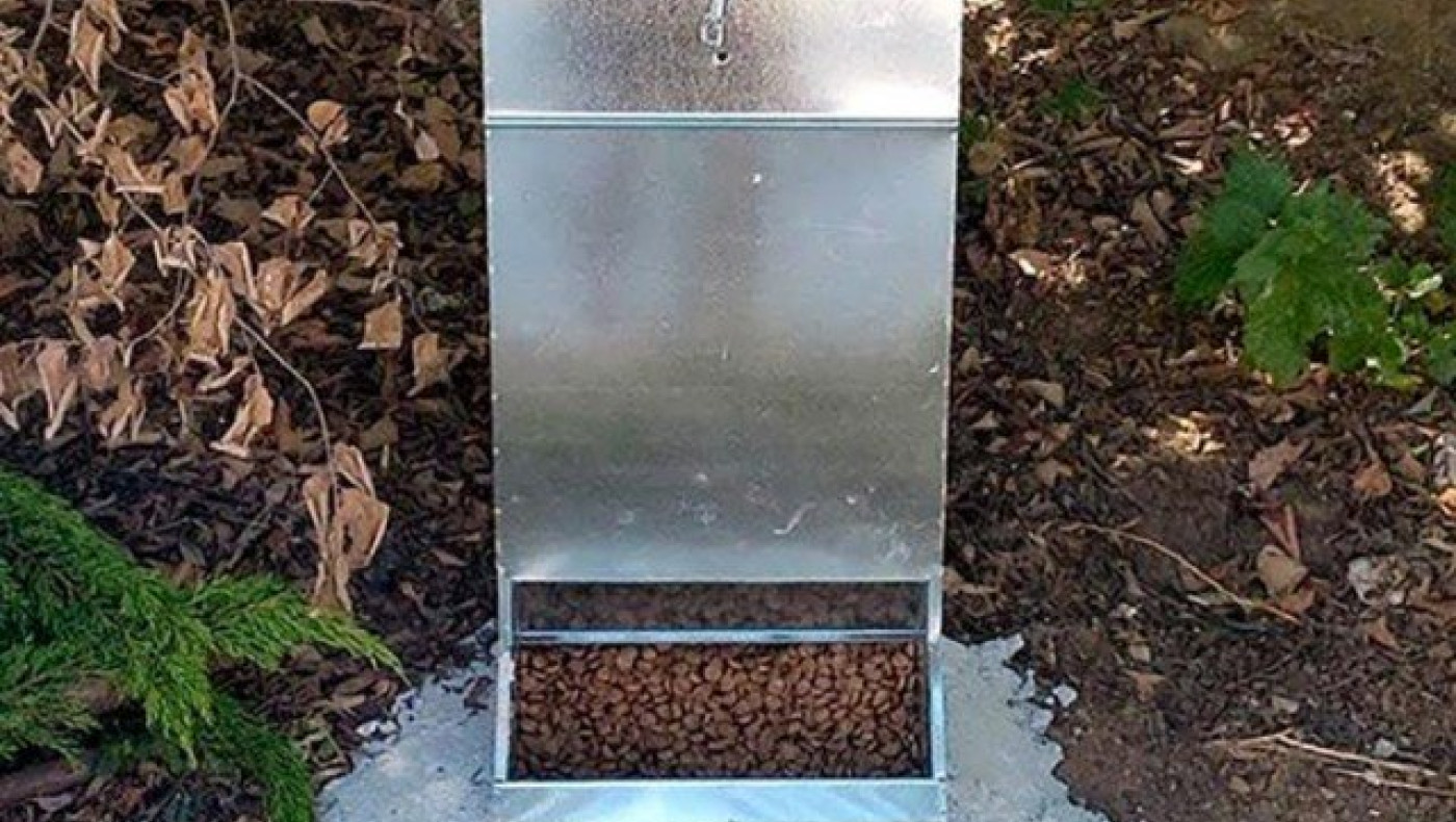 Θεσσαλονίκη: Ταΐστρες για τα αδέσποτα από τον δήμο Νεάπολης-Συκεών