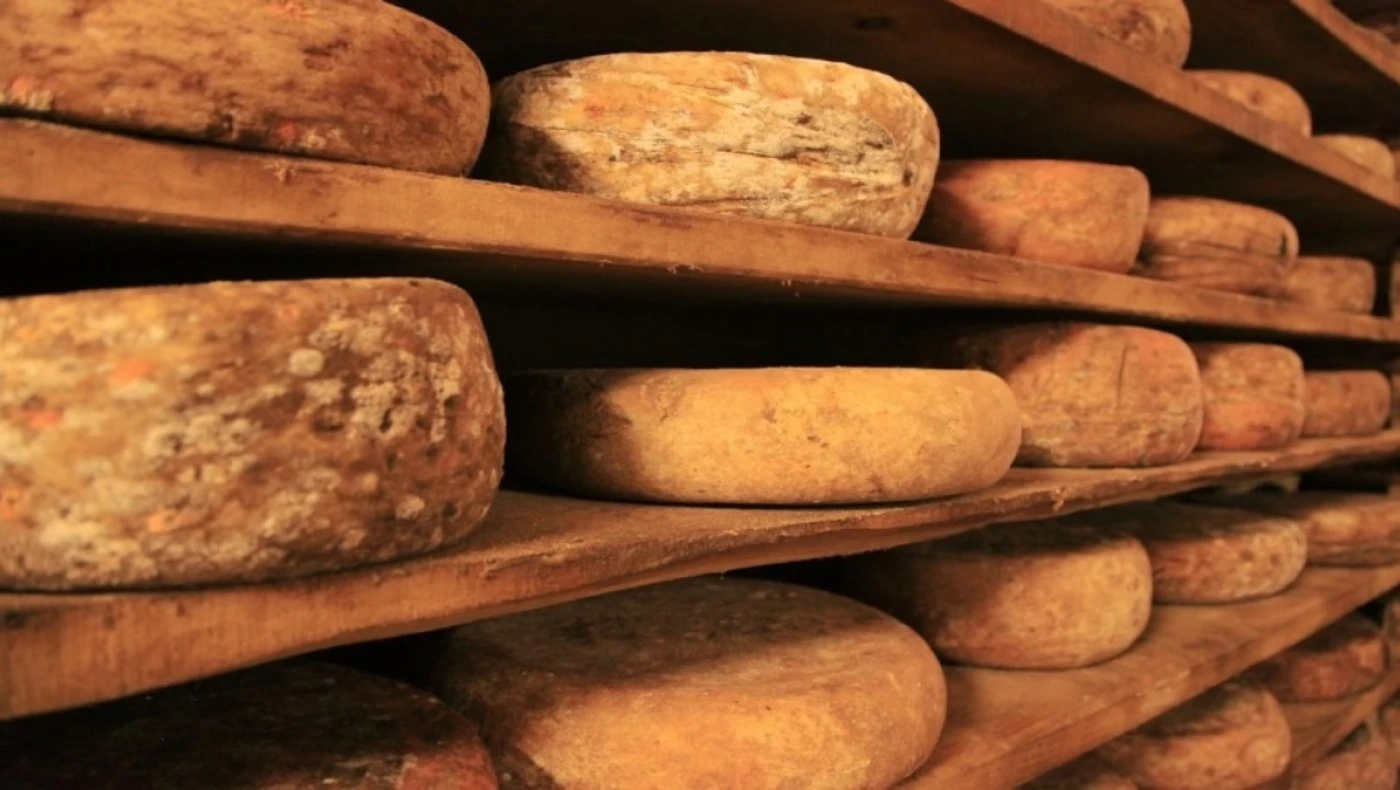 Ποιος ανακάλυψε τον τροχό; Απάντησαν οι αρχαιολόγοι