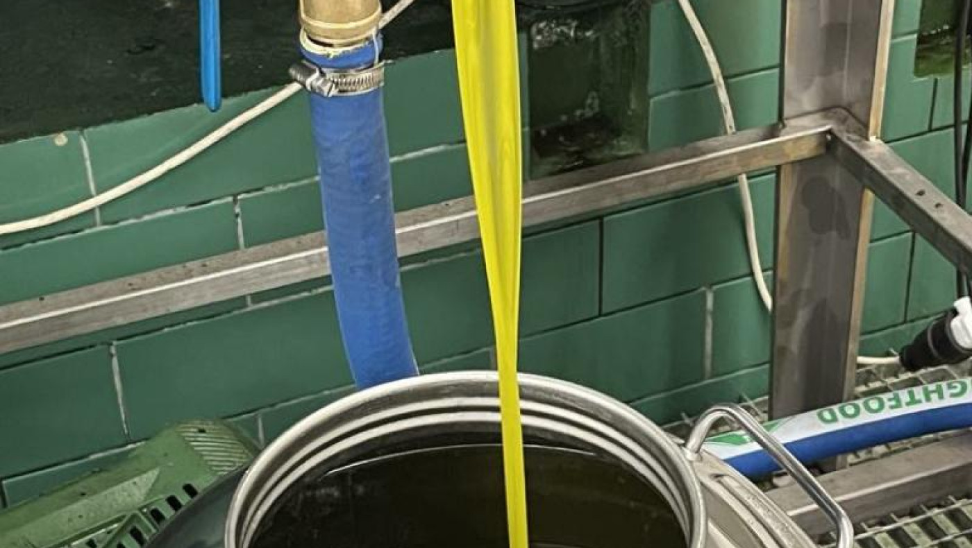 Ο Δήμος Θεσσαλονίκης έβγαλε «εξαιρετικά παρθένο ελαιόλαδο»