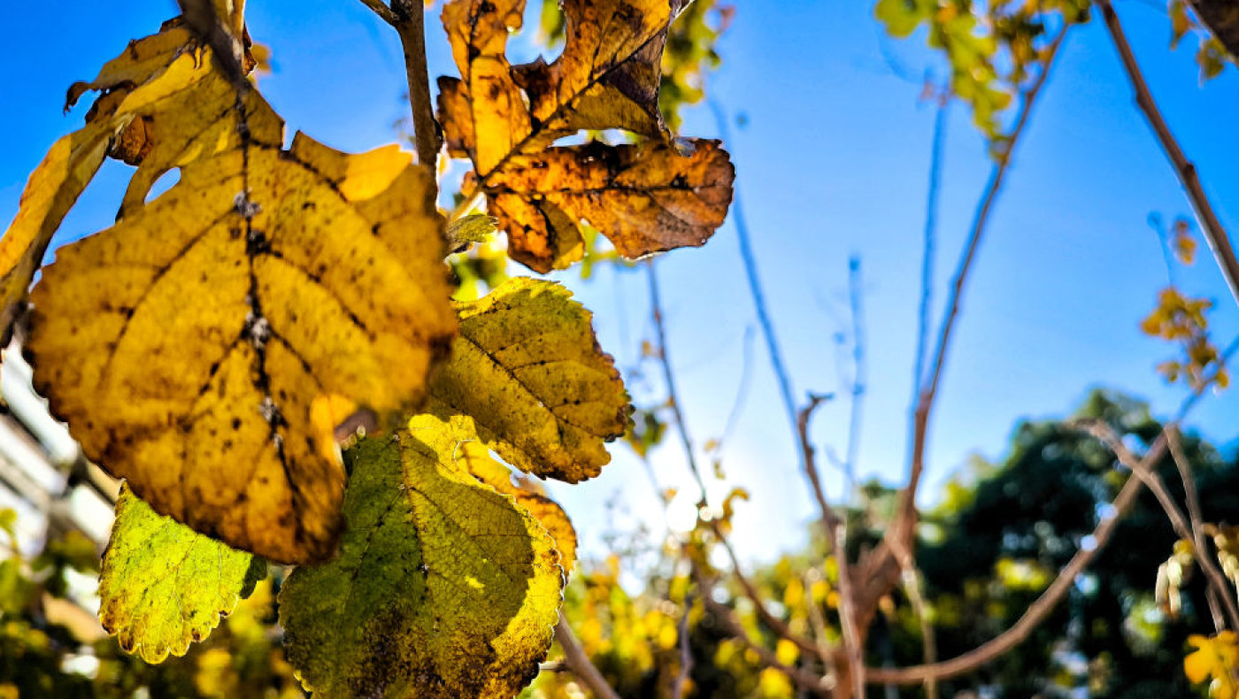 Καιρός του Σαββάτου (7/6): Παραμένουν υψηλές οι θερμοκρασίες σε όλη τη χώρα
