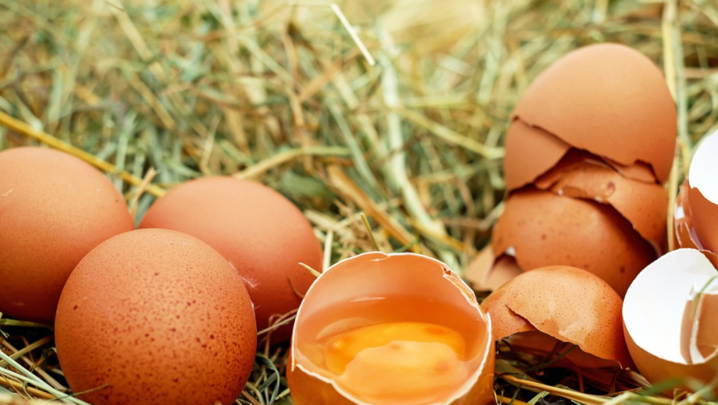 Διατροφή και υγεία: Έφαγε 720 αυγά σε έναν μήνα!-Τι συνέβη με τη χοληστερόλη του