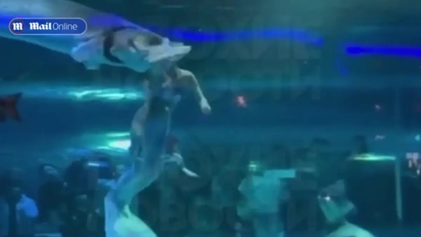 Τεράστιο ψάρι δαγκώνει στο κεφάλι γυναίκα μέσα σε ενυδρείο!