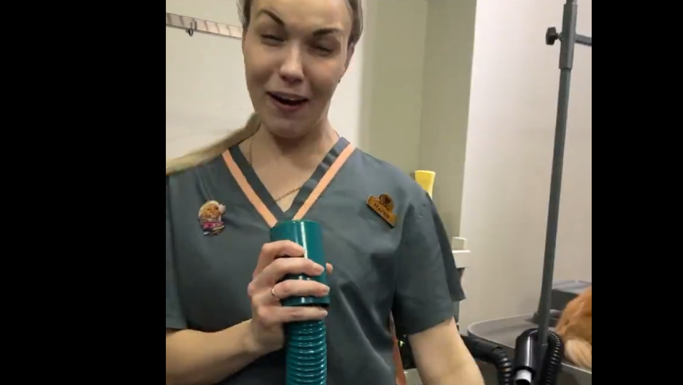 Viral ντουέτο κτηνιάτρου με... ασθενή!