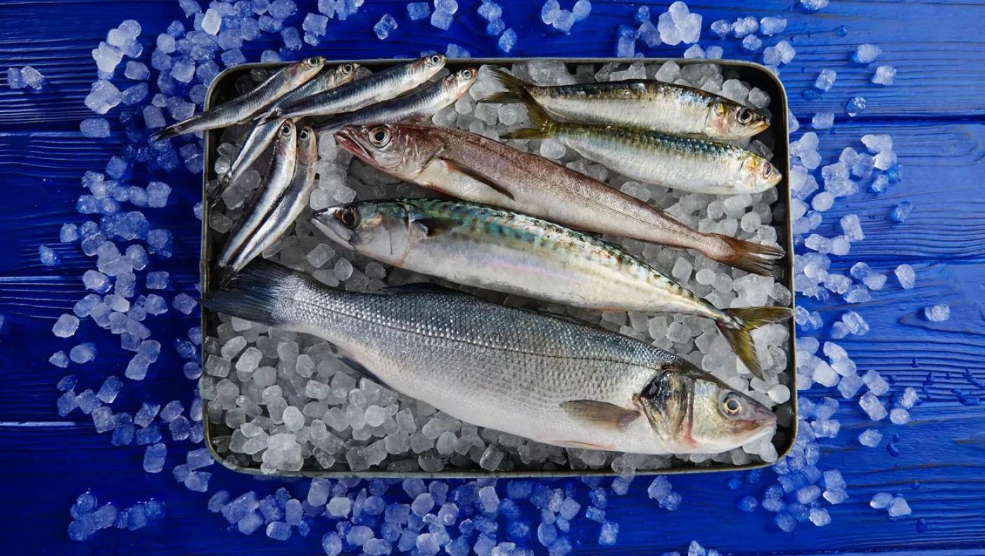 Τα δύο ψάρια που κάνουν «θαύματα» σε καρδιά, εγκέφαλο και ανοσοποιητικό