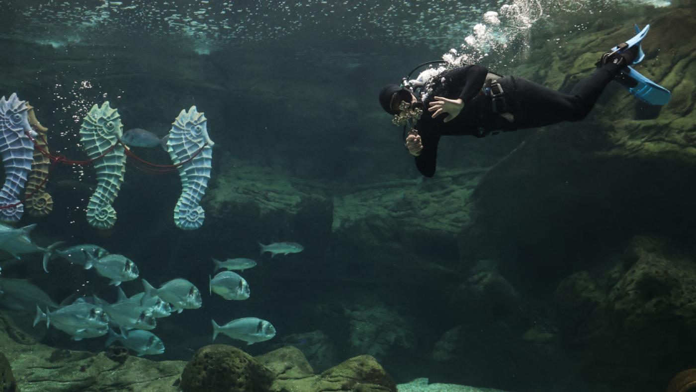 Κρήτη: Νεκρός δύτης σε βάθος 24 μέτρων- Βιντεοσκόπησε τον θάνατό του