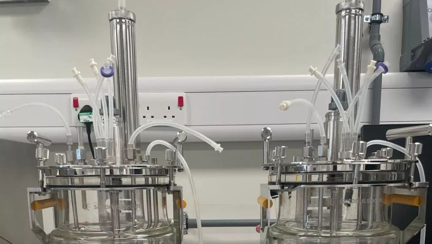 Το «μυστικό όπλο» των Βρετανών για την νέα πανδημία