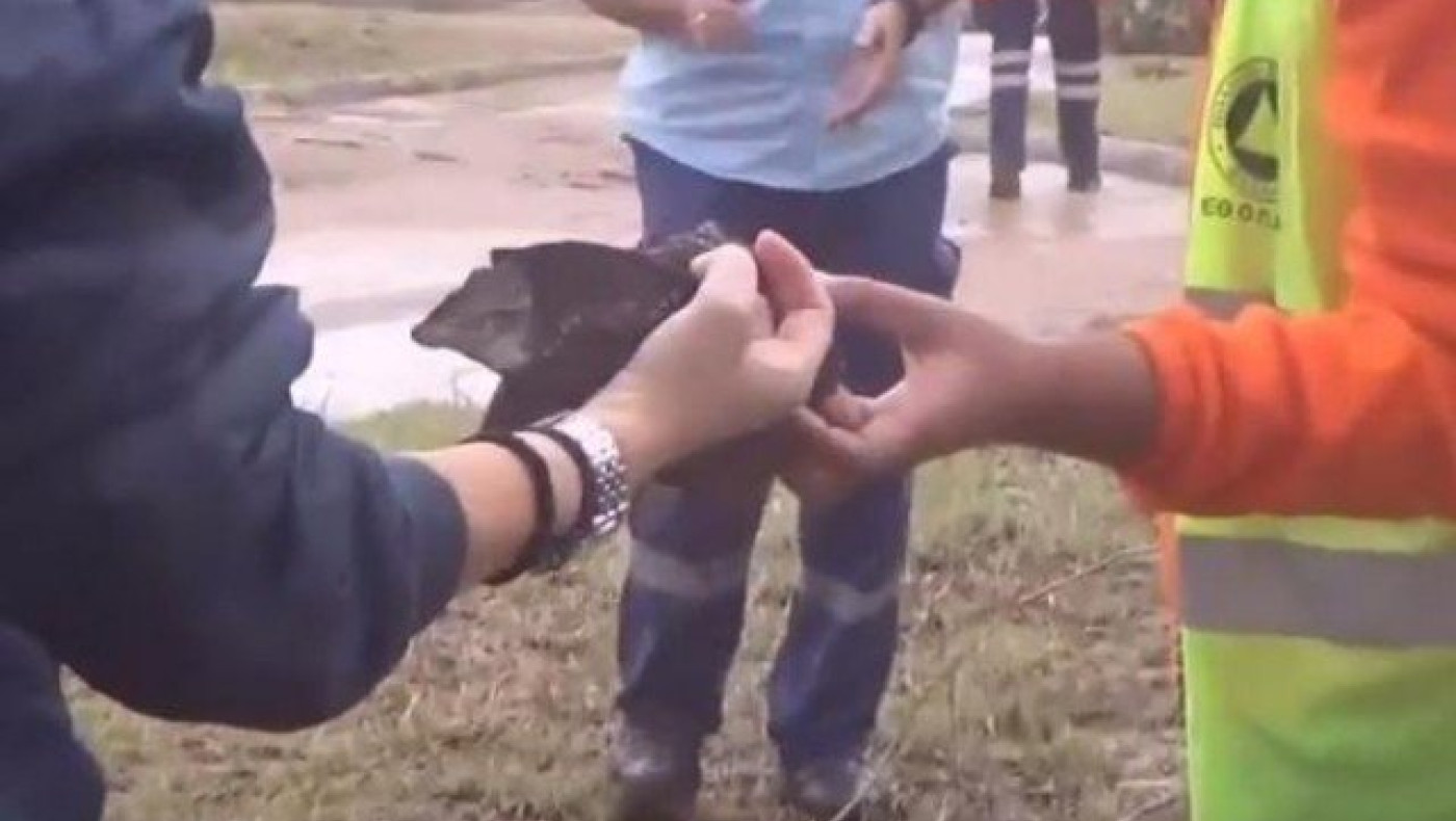 Kόρη 53χρονης αγνοούμενης: Δεν είναι της μητέρας μου το ύφασμα -ΒΙΝΤEO