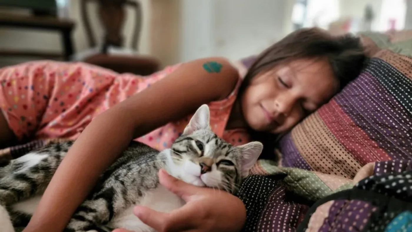 Η σοκαριστική συνέπεια στην υγεία μας, όταν καταργήθηκε στην Ελλάδα η μεσημεριανή σιέστα