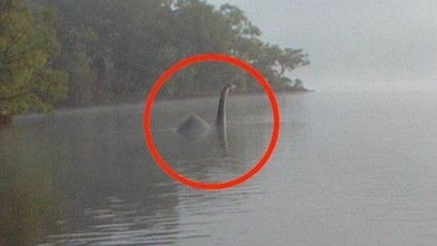 Το τέρας του Loch Ness έκανε την εμφάνιση του (Pics)