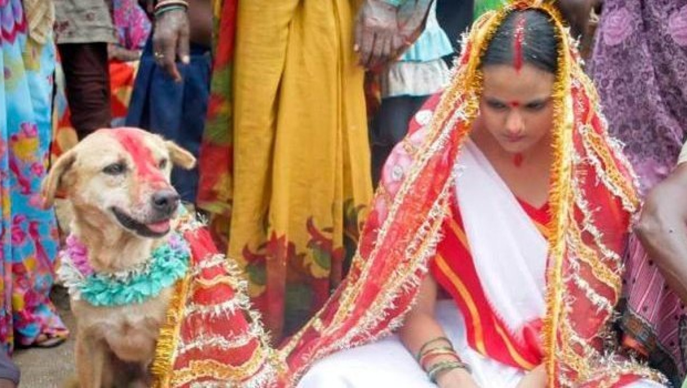 Μια 18χρονη Ινδή παντρεύτηκε σκύλο!