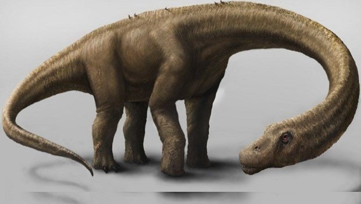 Δεινόσαυρος με μέγεθος σπιτιού και βάρος όσο ένα κοπάδι ελέφαντες!