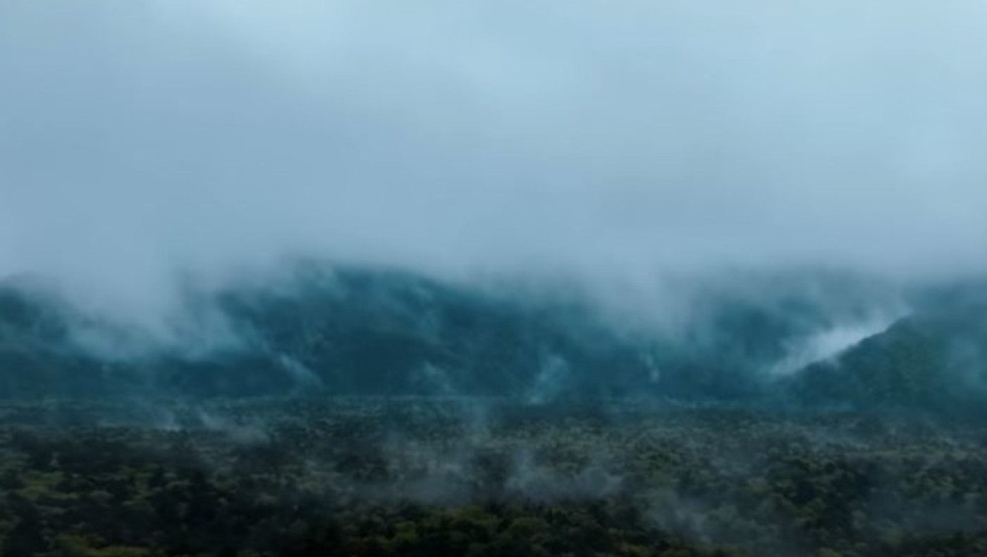 Απίστευτο: Στη Ιαπωνία υπάρχει συγκεκριμένο μέρος για να αυτοκτονήσει κάποιος! (vid)