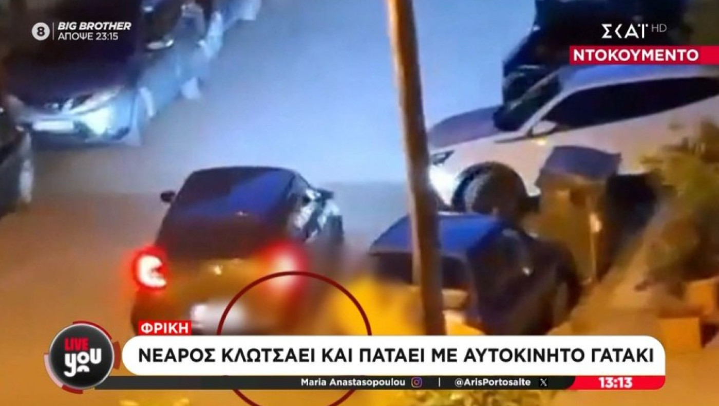 Καλαμαριά: Συνελήφθη ο νεαρός που κλώτσησε γατάκι και στη συνέχεια το πάτησε με το ΙΧ του