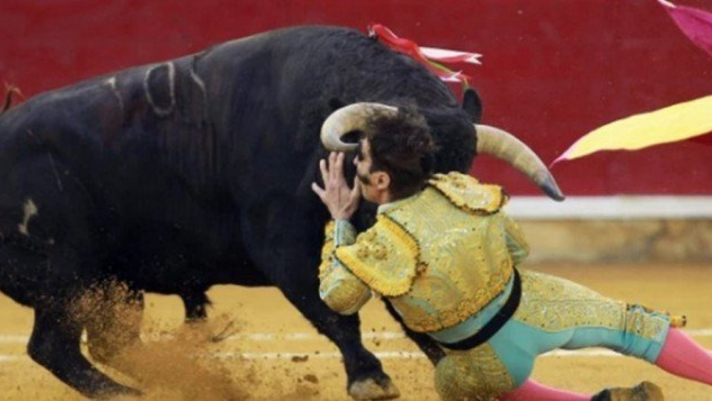 Μονόφθαλμος ταυρομάχος τραυματίστηκε ξανά στο «άδειο» μάτι του -ΒΙΝΤΕΟ