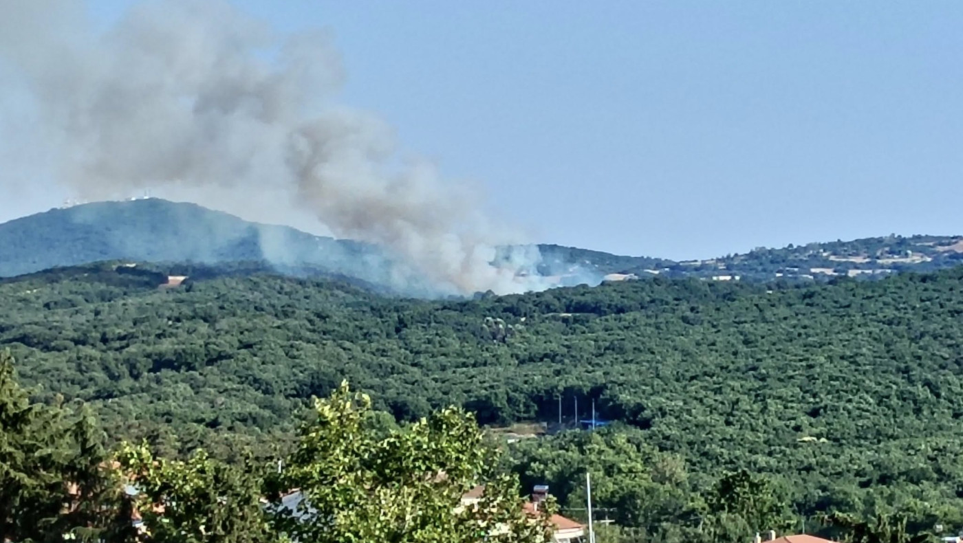 Θεσσαλονίκη: Φωτιά στο Φίλυρο-Επί ποδός η Πυροσβεστική, σηκώθηκαν καναντέρ και ελικόπτερα