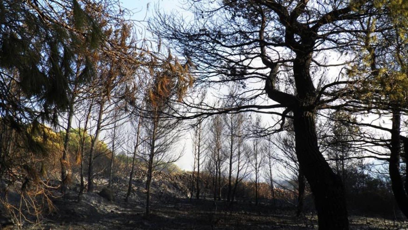 Προειδοποίηση Λέκκα για Κύθηρα: Το νησί οδηγείται σε ταχεία ερημοποίηση