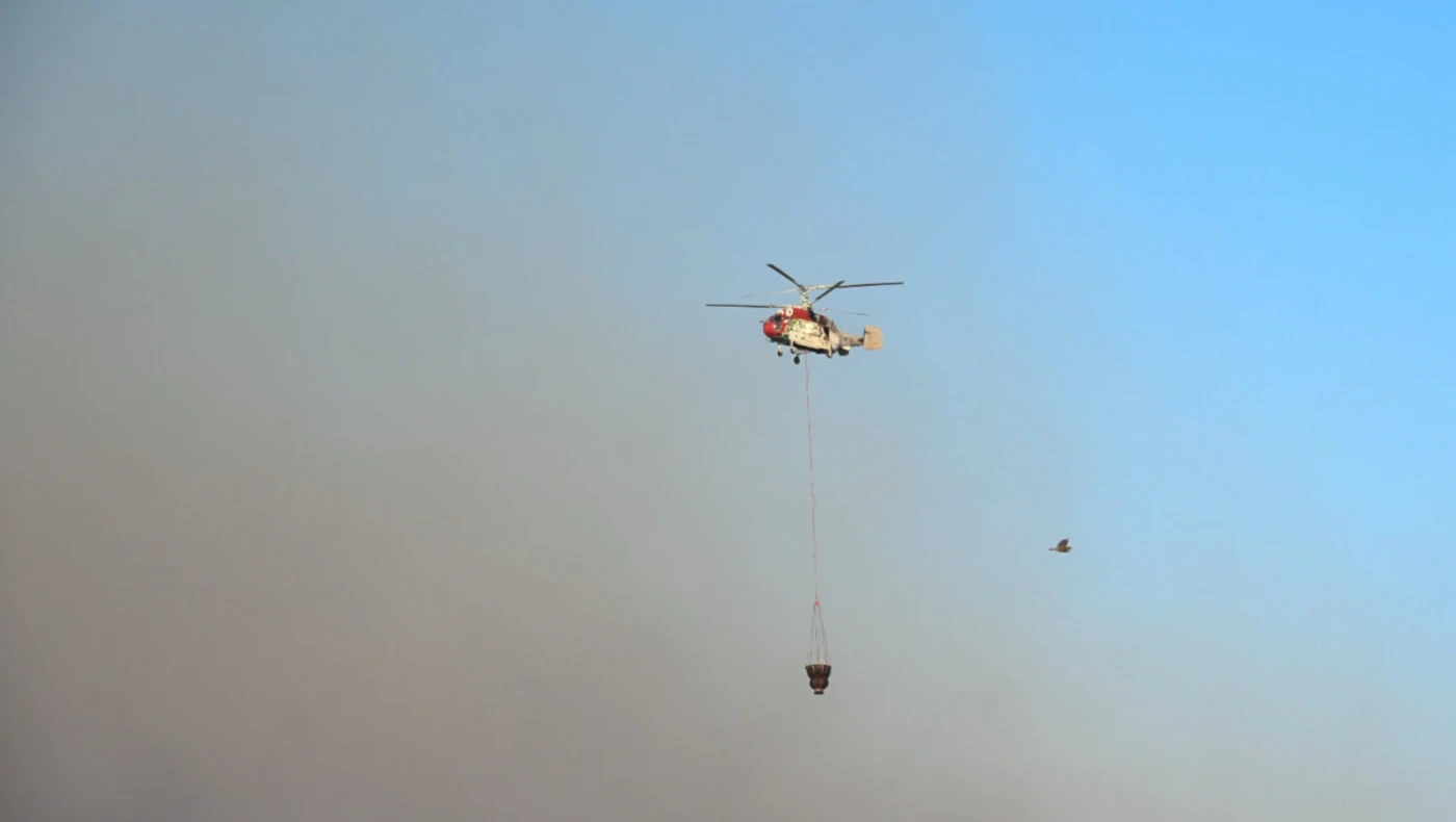 Χαλκιδική: Πυρκαγιά στη Λαγόμανδρα-Σηκώθηκαν επτά εναέρια μέσα, ήχησε το 112