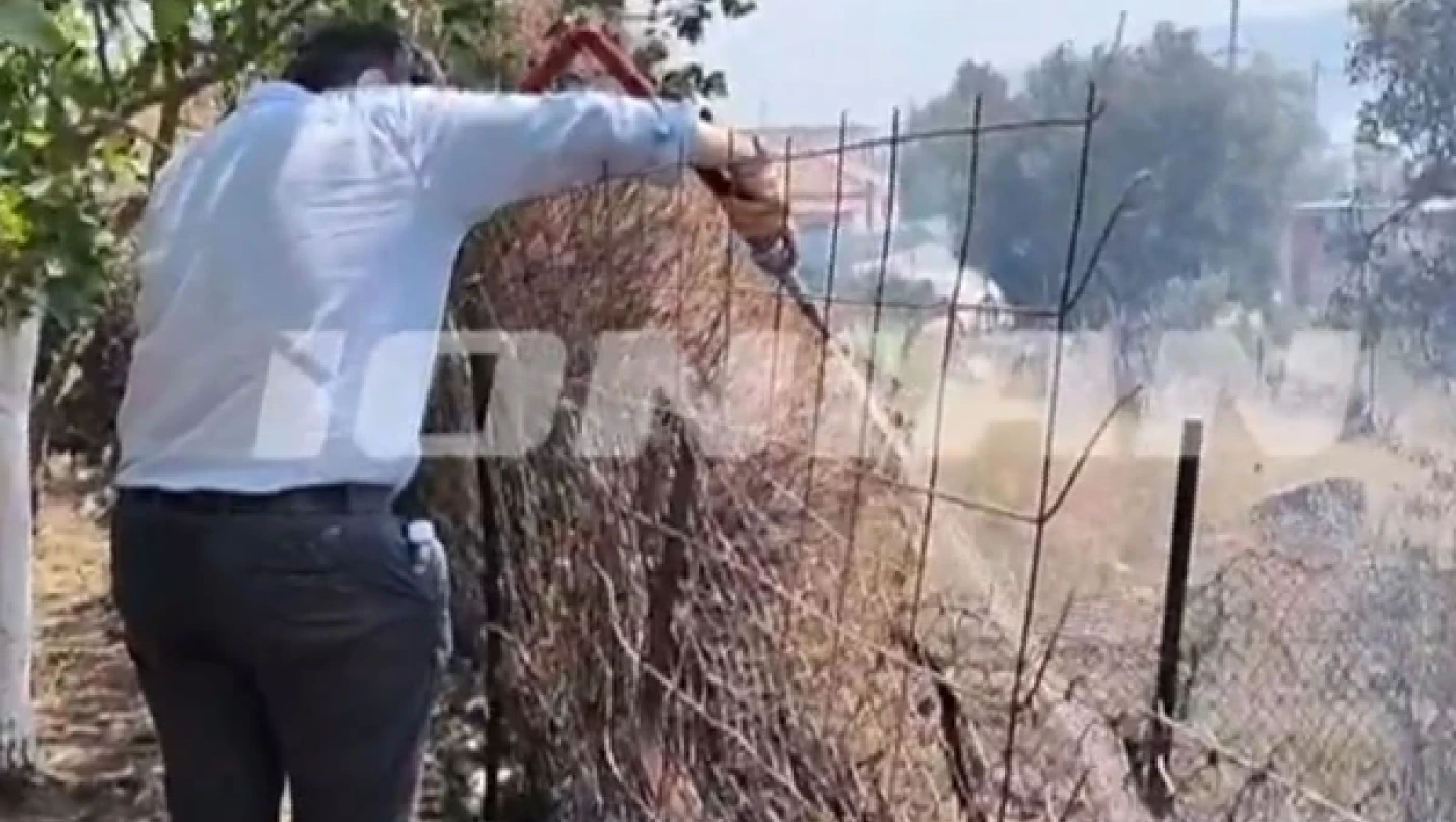 Ζάκυνθος: Όλοι στη μάχη να σβήσει η μεγάλη φωτιά στο νησί