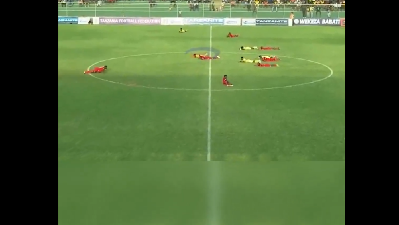 «Ντου» μελισσών διακόπτει αγώνα: Ένα με το έδαφος οι παίκτες