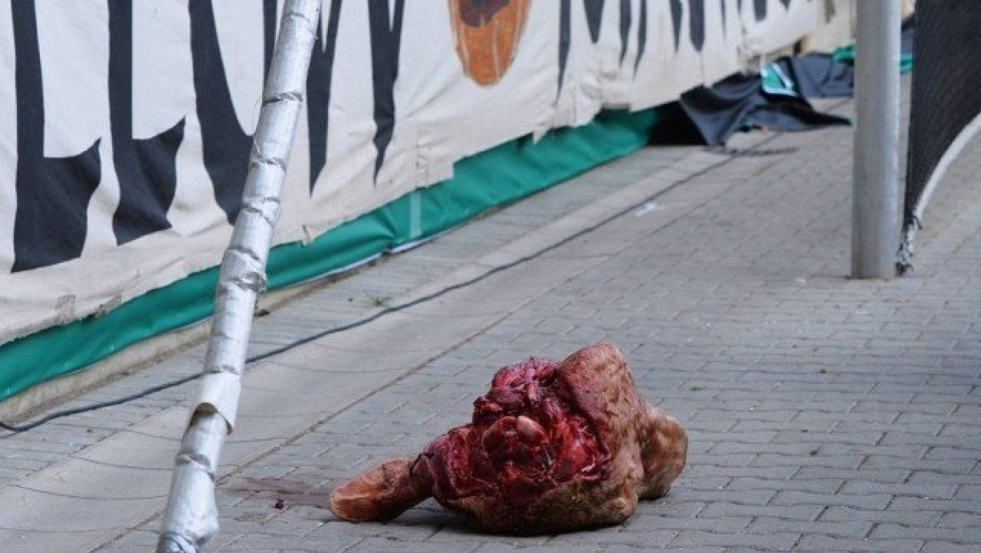 Βαριά τιμωρία στην Ντιναμό Δρέσδης για το... κομμένο κεφάλι ταύρου!