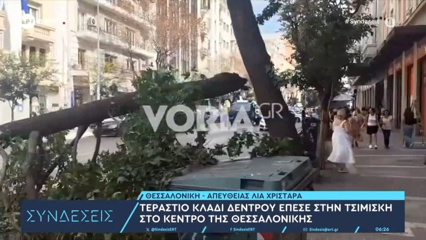 Θεσσαλονίκη: Τεράστιο κλαδί από δέντρο έπεσε στη μέση του δρόμου