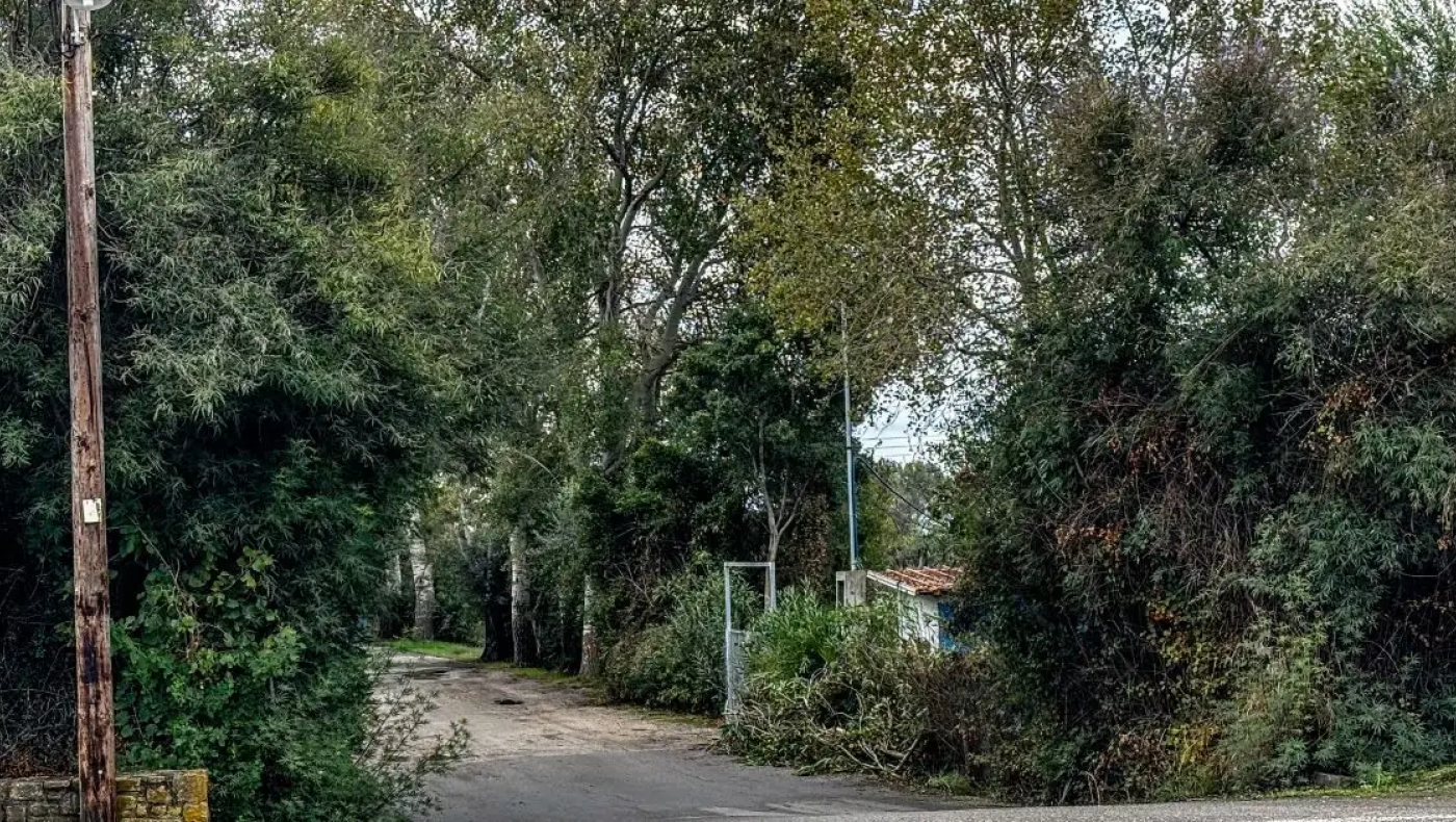 Φοινικούντα: «Συνελήφθη ο φυσικός και ο ηθικός αυτουργός»-Η ανακοίνωση της ΕΛ.ΑΣ.