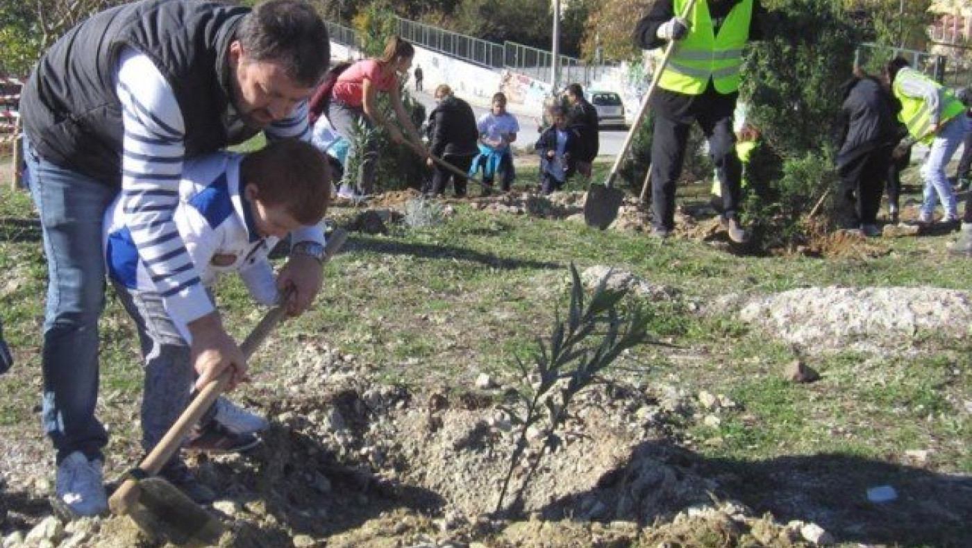 Θεσσαλονίκη: Με μεγάλη συμμετοχή η δενδροφύτευση στη Νεάπολη
