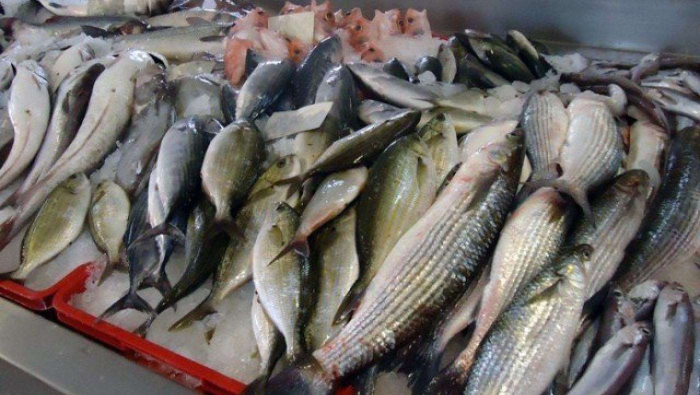 Θεσσαλονίκη: Κατασχέθηκαν 42 κιλά ψάρια στην ιχθυόσκαλα Ν. Μηχανιώνας