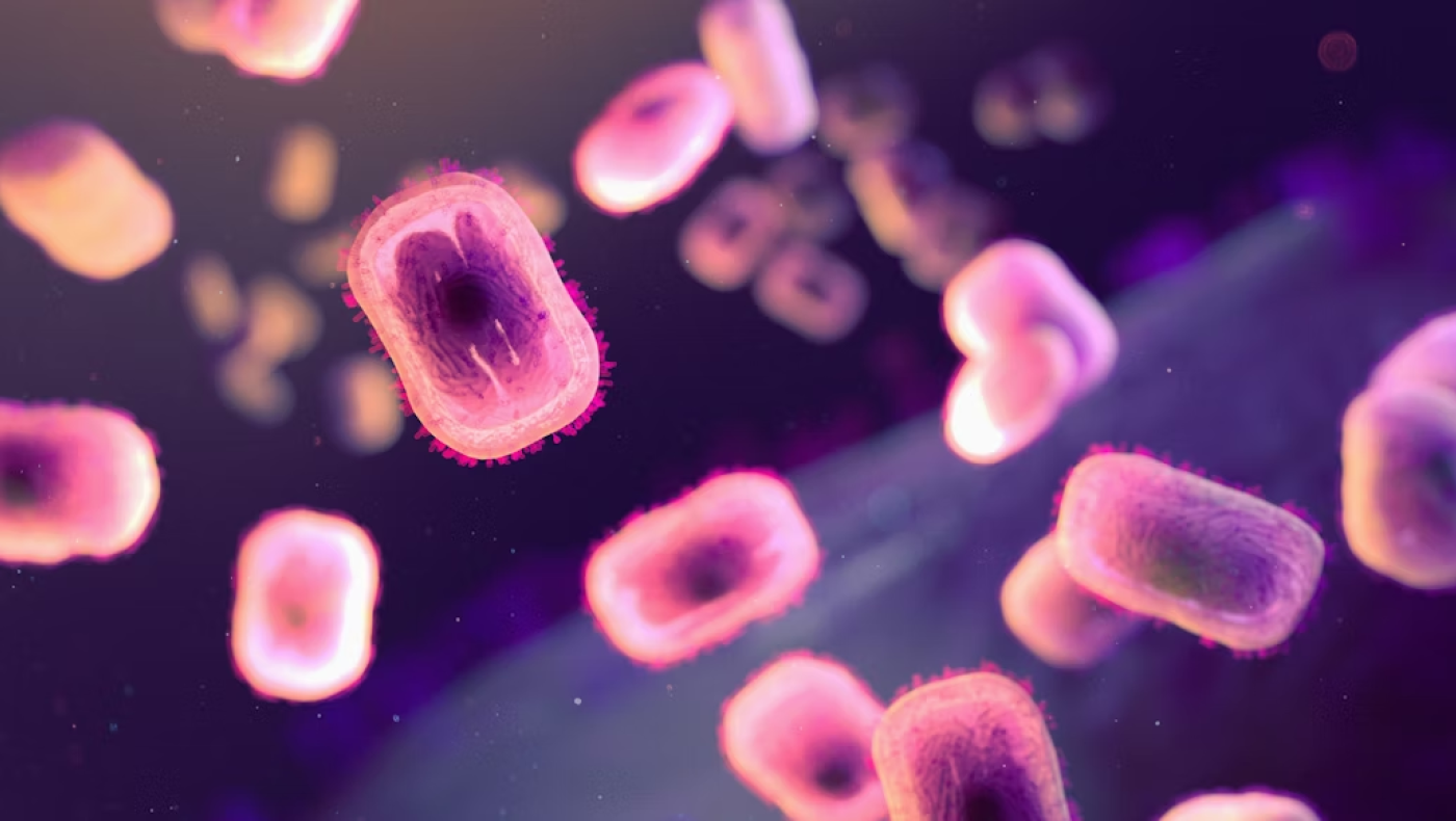 Ευλογιά των πιθήκων: Καταγράφηκε το πρώτο σοβαρό κρούσμα στην Ελλάδα