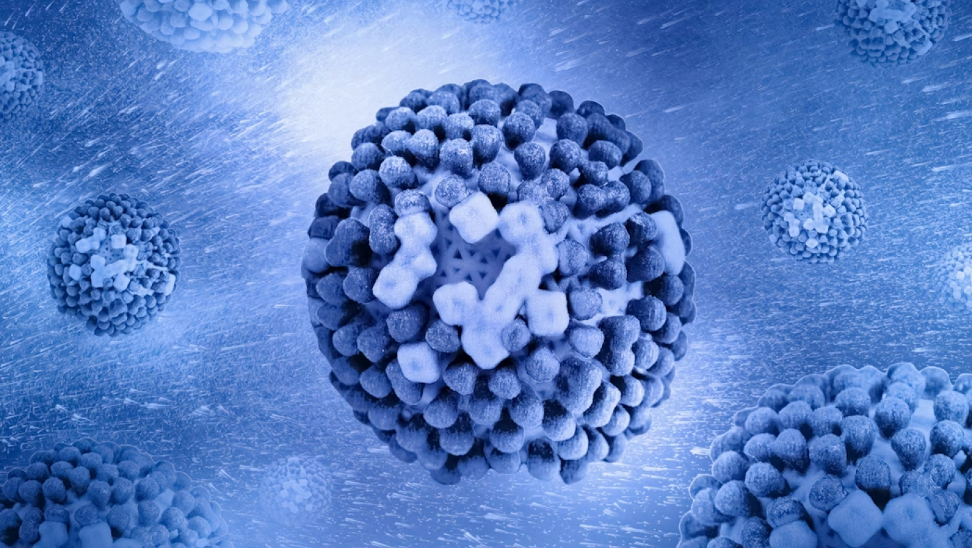 Το πρώτο κρούσμα H5N5: Τα συμπτώματα μοιάζουν με γρίπη