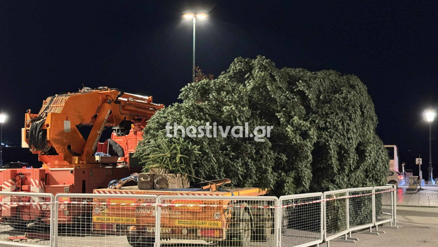 Θεσσαλονίκη σε χριστουγεννιάτικους ρυθμούς: Έφτασε το επιβλητικό δέντρο στην Αριστοτέλους