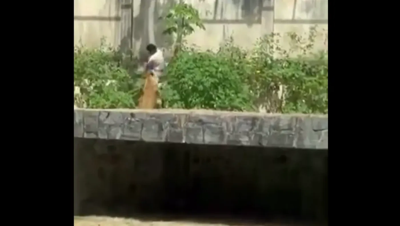 Λιοντάρι κατασπάραξε 19χρονο που μπήκε στο κλουβί του!