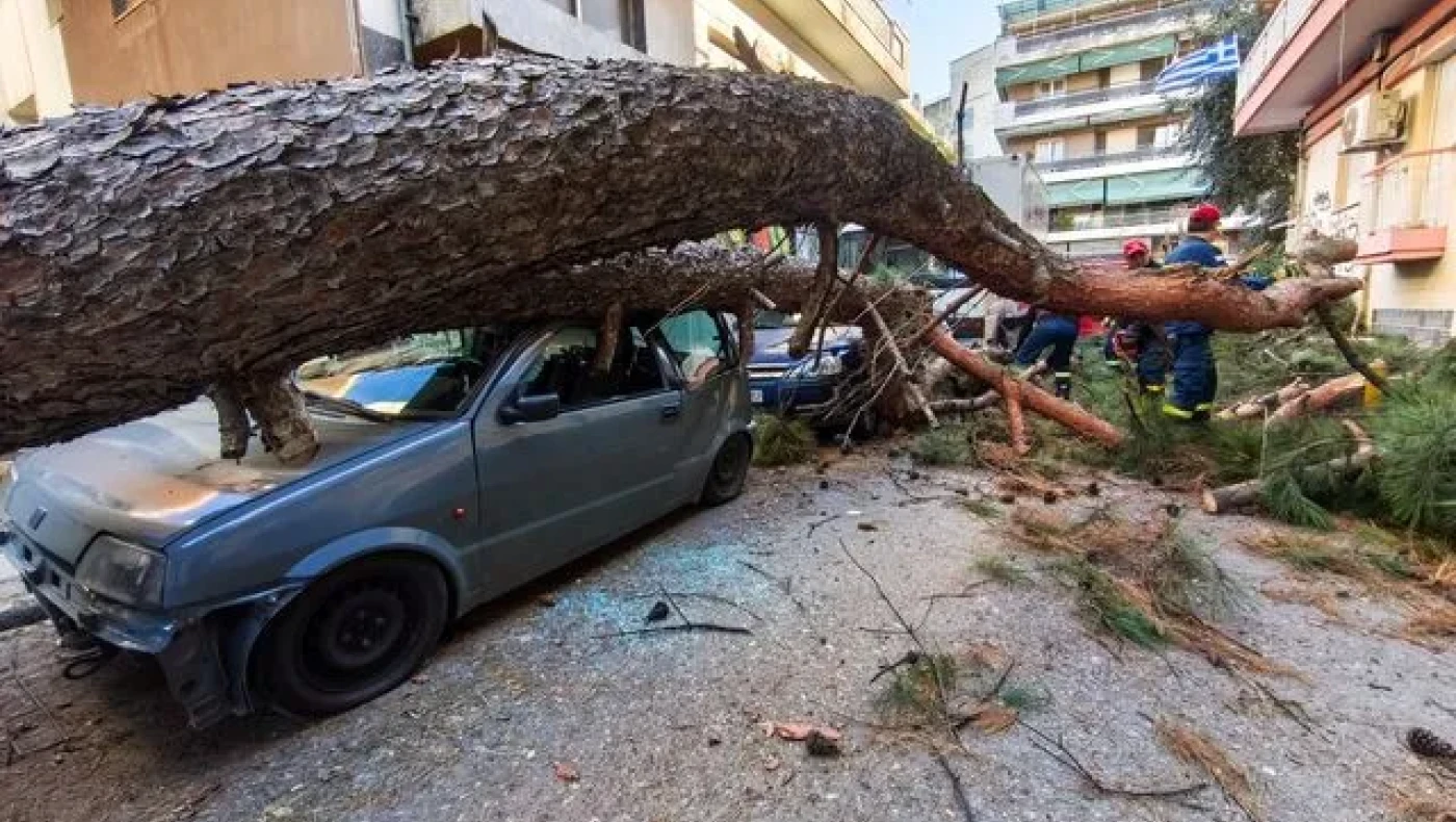 Θεσσαλονίκη: Δέντρο έπεσε και καταπλάκωσε αυτοκίνητα στη Χαριλάου