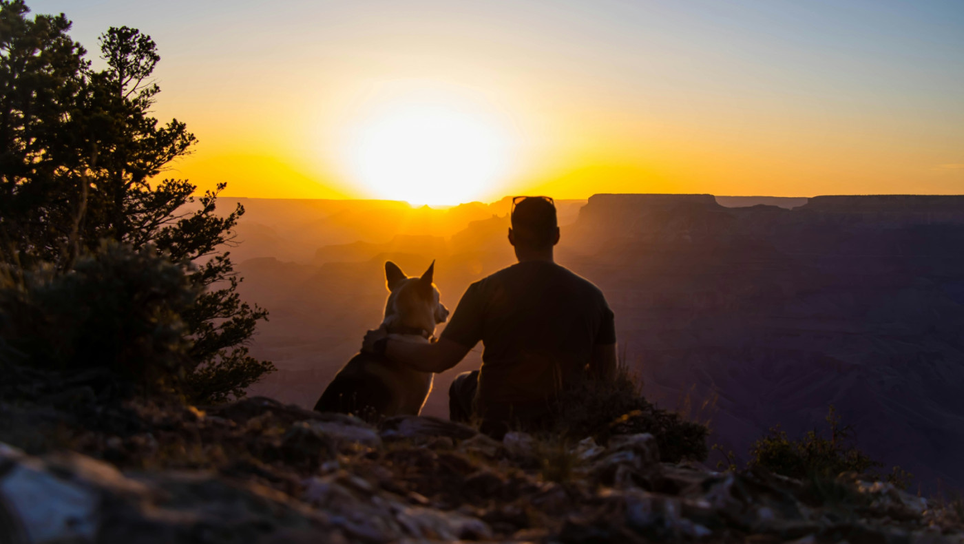 Έρευνα: Ο θάνατος κατοικίδιου μπορεί να προκαλέσει την ίδια θλίψη με την απώλεια ανθρώπου