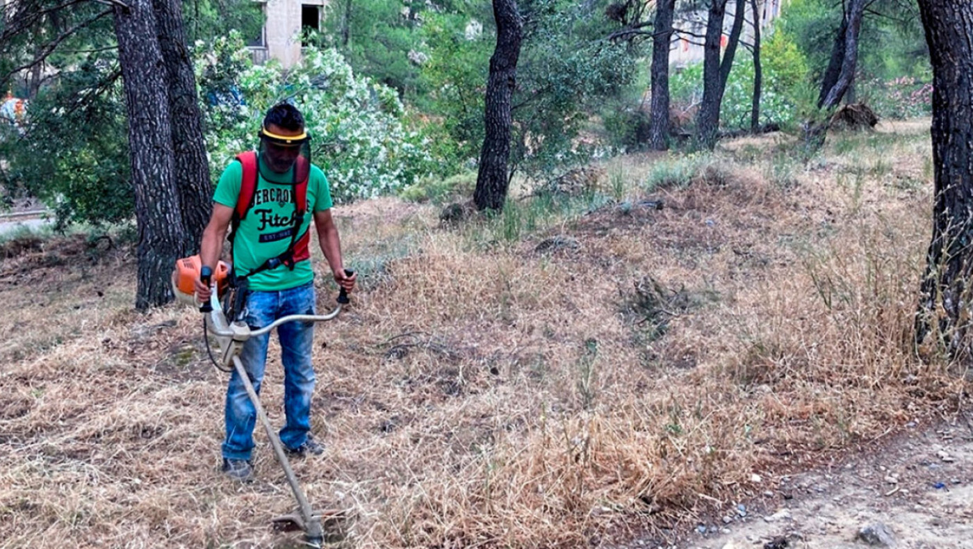 Τι αλλάζει στους καθαρισμούς των οικοπέδων με το νέο νομοσχέδιο