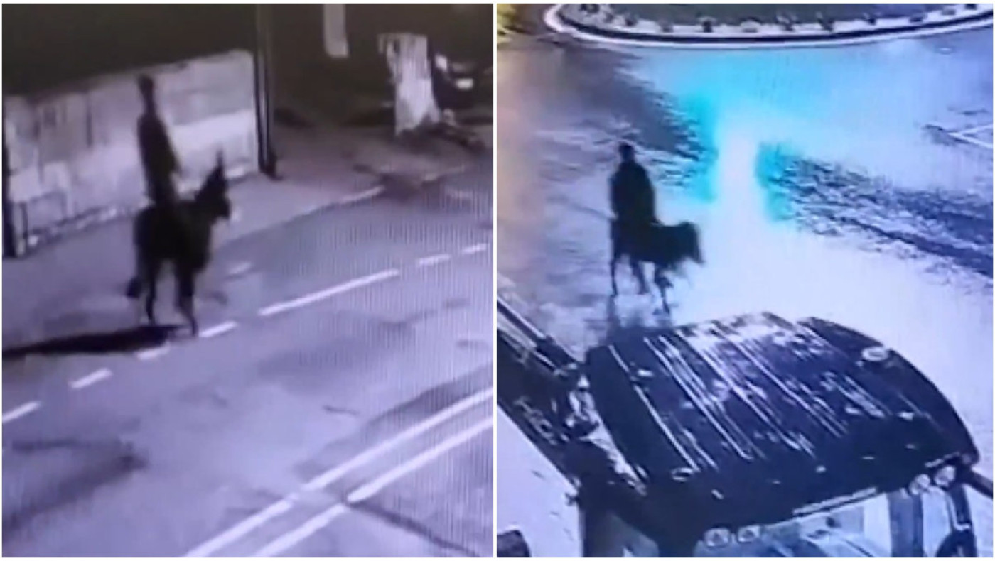 Διέρρηξε κοσμηματοπωλείο και διέφυγε με... γαϊδούρι