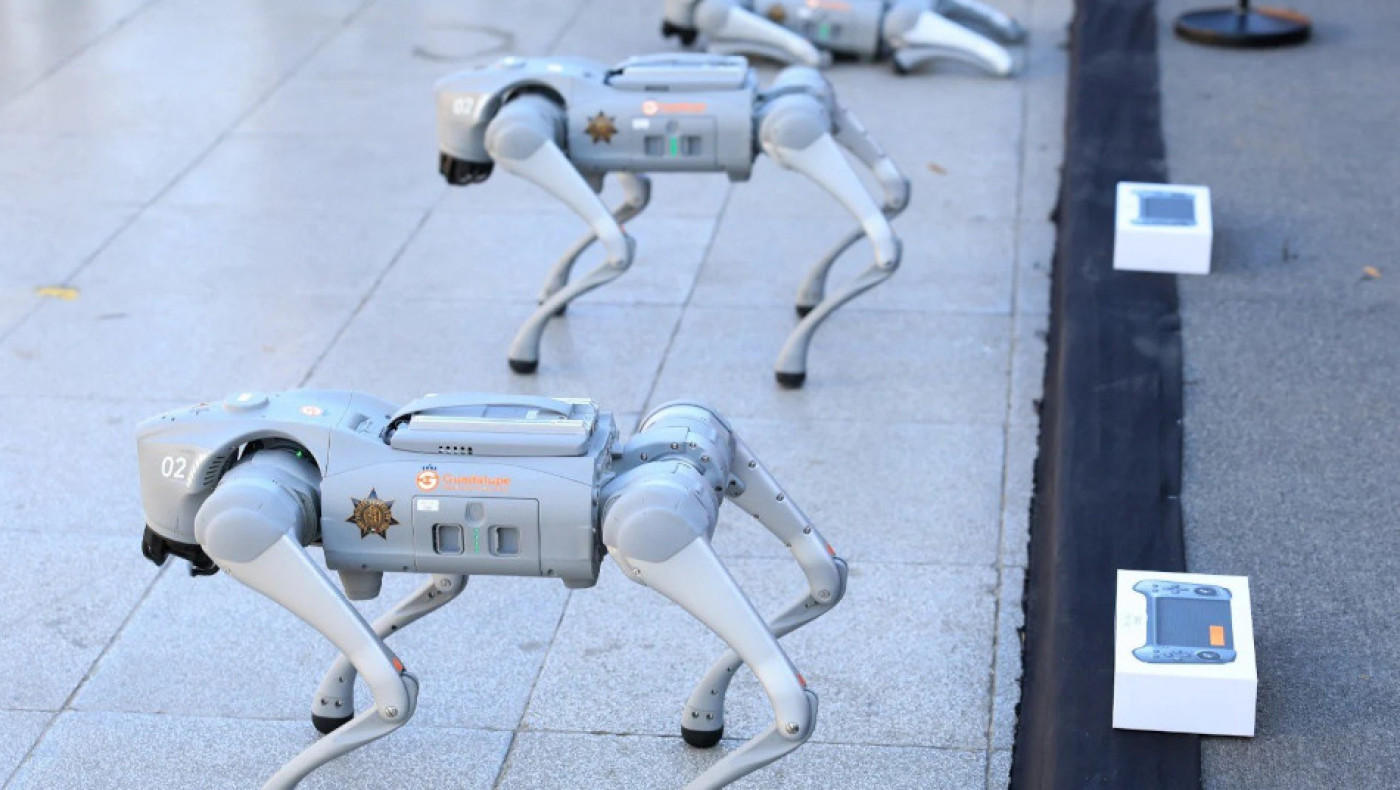 Το Μεξικό ενισχύεται με «σκυλιά ρομπότ» για το Μουντιάλ (vid)