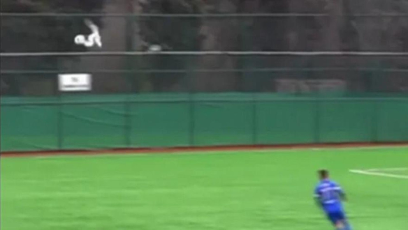 Απίστευτο σκηνικό: Ποδοσφαιριστής έκανε ΚΑΡΠΑ σε γλάρο και του έσωσε τη ζωή!