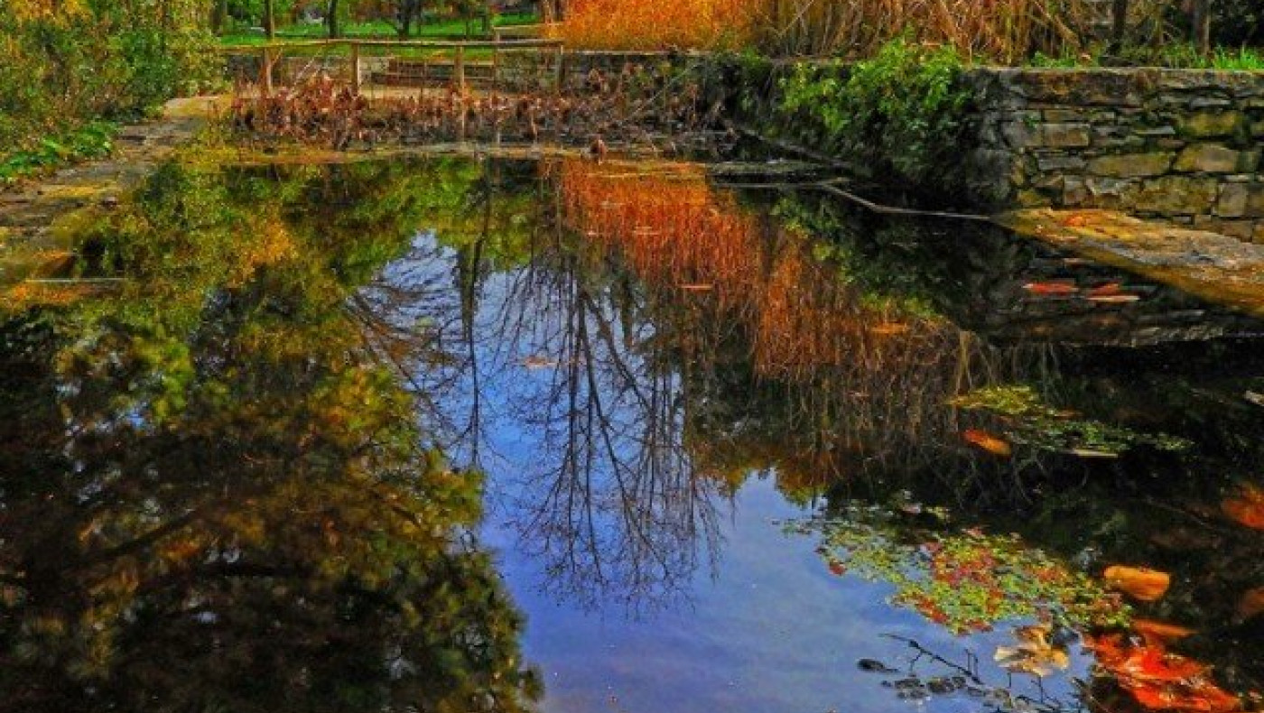 Ο μεγαλύτερος βοτανικός κήπος της Αν. Μεσογείου βρίσκεται στην Αττική