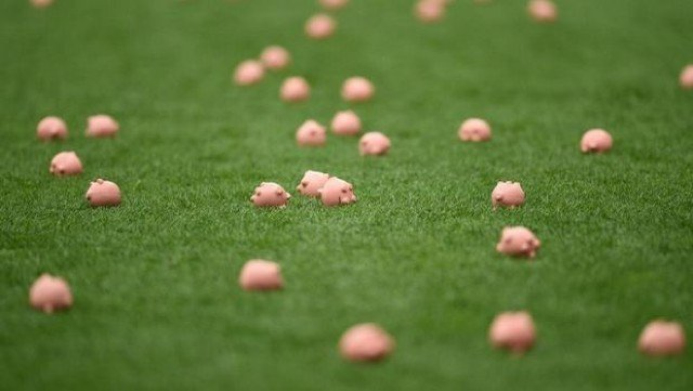 Κόβεντρι - Κάρντιφ: Καθυστέρηση    ελέω... γουρουνιών