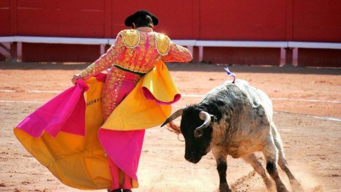 Ο…         νταής             Τόνι           Ανταμς!